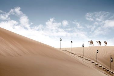 Une exprience unique au coeur du dsert