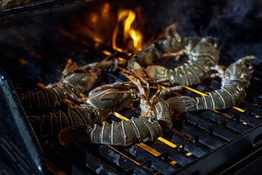 photo Furaveri Island Resort & Spa Maldives