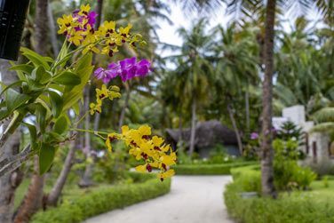 photo Furaveri Island Resort & Spa Maldives