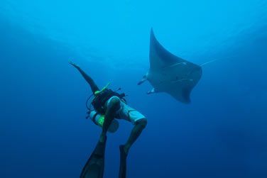 photo Furaveri Island Resort & Spa Maldives