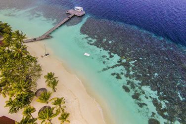 La barrire de corail est proche.