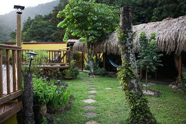 La terrasse est magnifique, pleine de plantes en tous genres, de cactus, de fleurs tropicales...