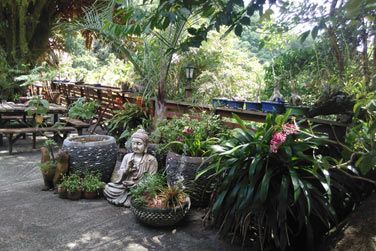 Pendant la nuit, seuls les bruits de la nature environnante sont perus