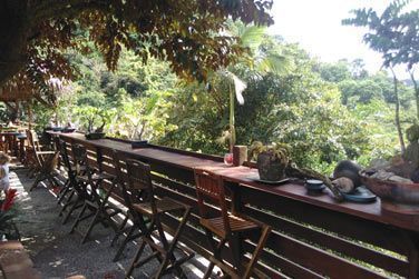 Profitez de la vue sur la nature environnante depuis la terrasse