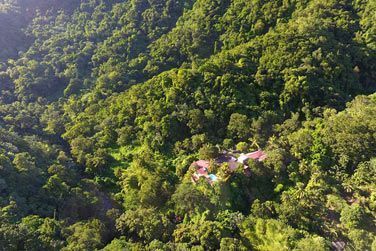 La situation exceptionnelle au cur de la nature