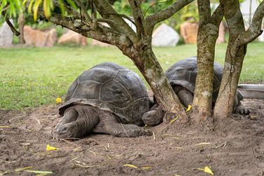 photo Bliss Hotel Praslin Seychelles
