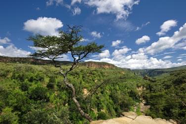 photo Masa Mara & la Valle du Rift Kenya