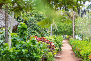 Les chambres sont dissimules dans un jardin tropical