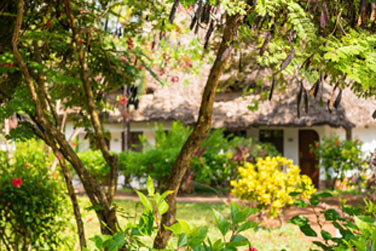 L'htel tire son nom des majestueux baobabs centenaires
