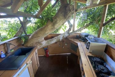 photo Ecolodge Les Bananes Vertes Guadeloupe