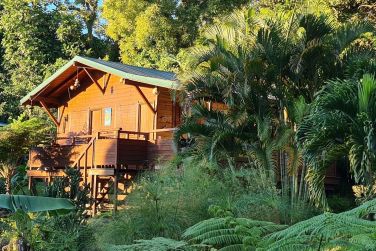 photo Ecolodge Les Bananes Vertes Guadeloupe
