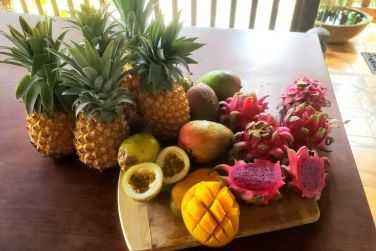 Savourez des fruits frais frachement cueillis au sein de l'ecolodge