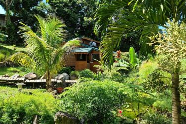 Une nature luxuriante entoure toutes les magnifiques rsidences