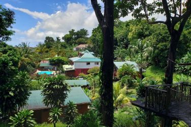 Vue panoramique de cette jungle tropicale surplombant l'ecolodge
