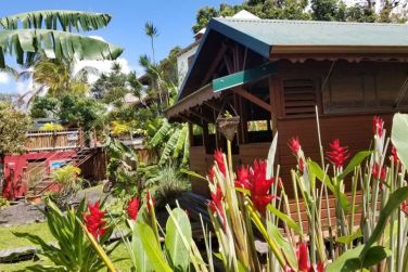photo Ecolodge Les Bananes Vertes Guadeloupe