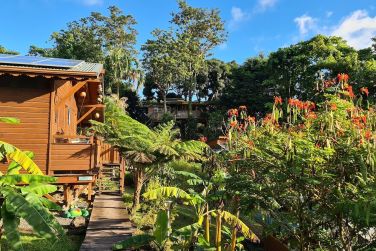 photo Ecolodge Les Bananes Vertes Guadeloupe