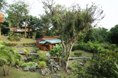 photo Ecolodge Les Bananes Vertes Guadeloupe
