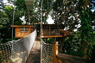 photo Ecolodge Les Bananes Vertes Guadeloupe