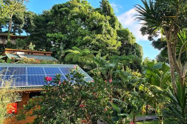 photo Ecolodge Les Bananes Vertes Guadeloupe