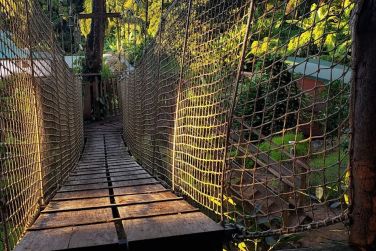 photo Ecolodge Les Bananes Vertes Guadeloupe