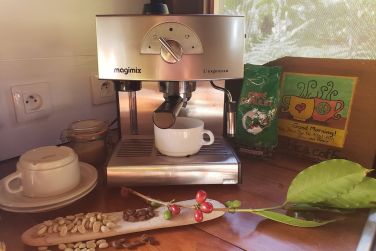 photo Ecolodge Les Bananes Vertes Guadeloupe