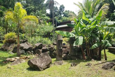 photo Ecolodge Les Bananes Vertes Guadeloupe