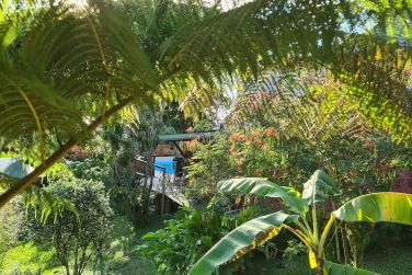 photo Ecolodge Les Bananes Vertes Guadeloupe