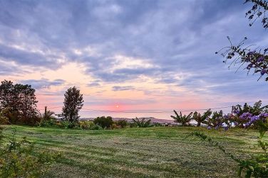 photo Chambre d'htes - Citron Galet Runion