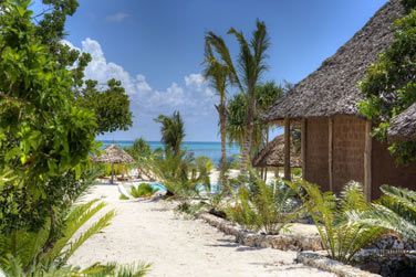 Un cadre idal entre nature luxuriante et plage
