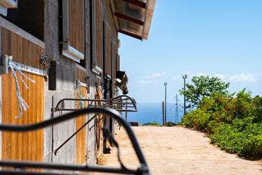 photo Glamping Gadiamb City Runion