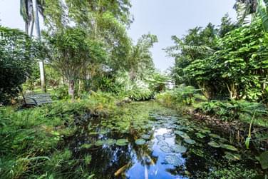 photo Chambre d'htes Poivre & Citronnelle Runion