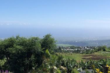 photo Chambre d'htes La Ferme Lebon Papillon Runion