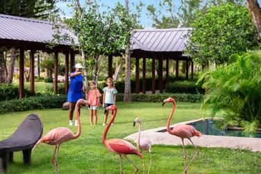 photo Dreams La Romana Rpublique Dominicaine