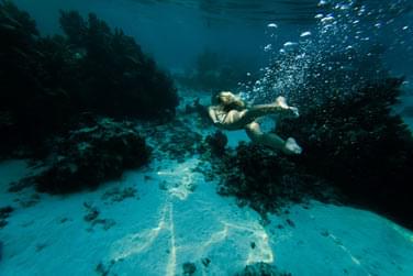 photo Hilton Tahiti Polynsie