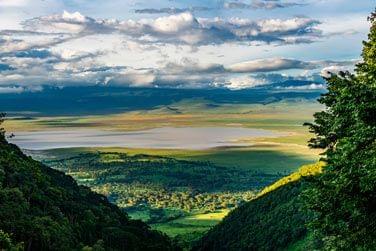 Magnifique cratre du Ngorongoro  la vgtation et l'cosystme riche