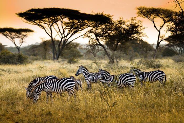 photo eco-safari & immersion en tanzanie