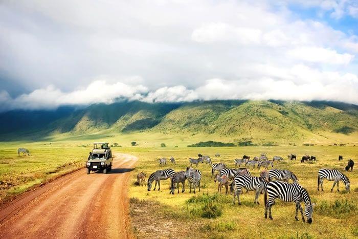 Eco-Safari & Immersion en Tanzanie