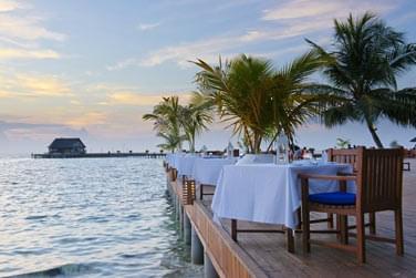 Au lagoon restaurant vous pourrez dguster des plats en pleine nature