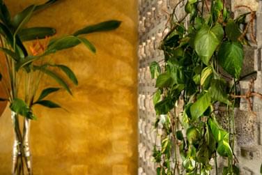 photo Casa Beach Zanzibar