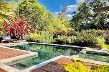 Vue d'ensemble de la piscine extrieure entoure de sa jungle tropicale