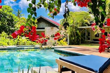 Voici la piscine extrieure borde d'une vgtation dense et rouge