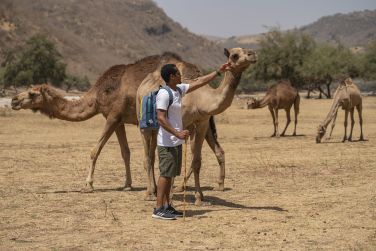 Vous croiserez galement des dromadaires dans certains sentiers