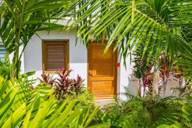 Ambiance jungle tropicale d�s votre arriv�e au bungalow le brillant