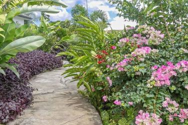 Baladez vous dans les jardins tropicaux � la myriade de couleurs