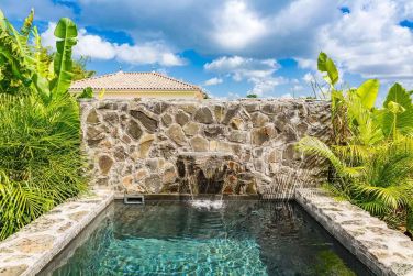 Au bungalow PMR profitez d'une magnifique piscine priv�e en pierres naturelles