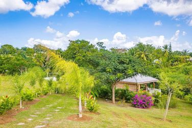 Nich� en pleine jungle tropicale, moment �vasion au spa