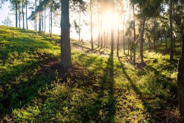 photo Kaz'Alala Hosted B&B Ile Maurice