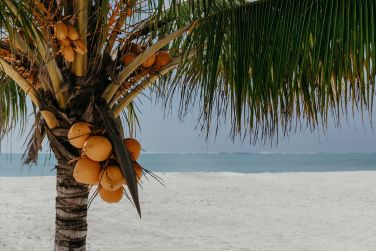 photo LUX* Marijani Zanzibar Zanzibar