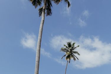 photo LUX* Marijani Zanzibar Zanzibar