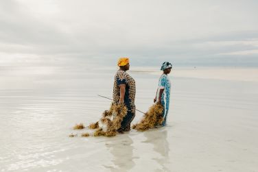 photo LUX* Marijani Zanzibar Zanzibar